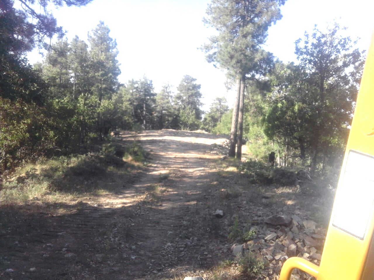 My PRESCOTT FOREST PROPERTY for SALE BY OWNER